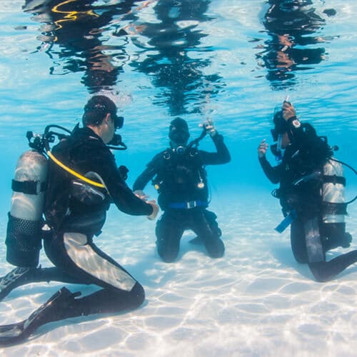 Scuba Certification